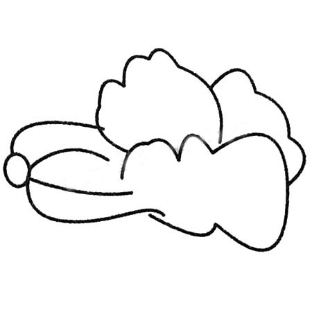 白菜简笔画画法