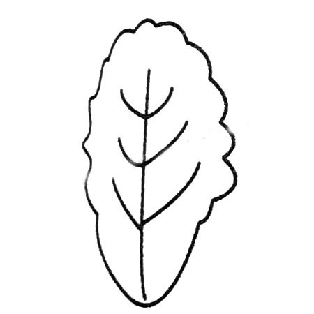 白菜简笔画画法