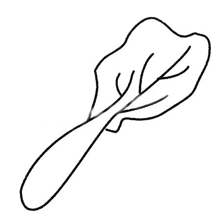 白菜简笔画画法