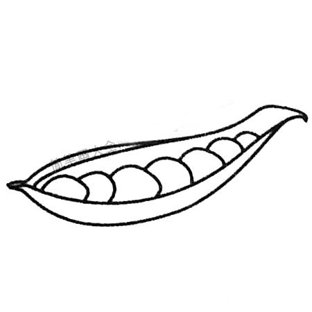 豌豆简笔画大全(豌豆简笔画 可爱)