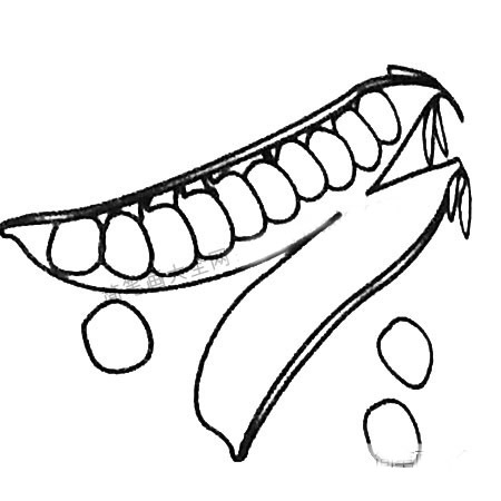 豌豆简笔画大全