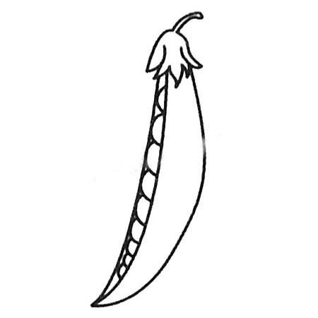 豌豆简笔画大全