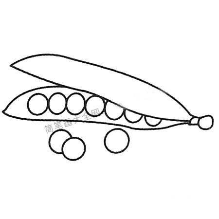 豌豆简笔画步骤