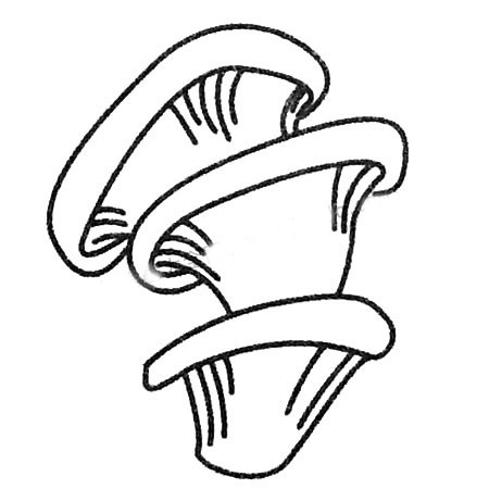 一组各不相同的蘑菇简笔画(各不相同的各怎么组词)