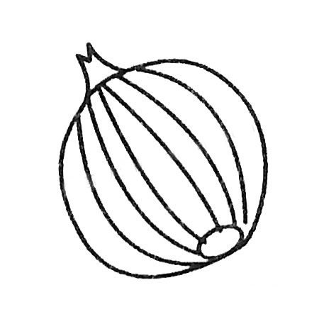 洋葱简笔画步骤