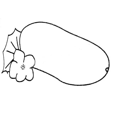 冬瓜简笔画图片大全(冬瓜简笔画图片大全可爱)
