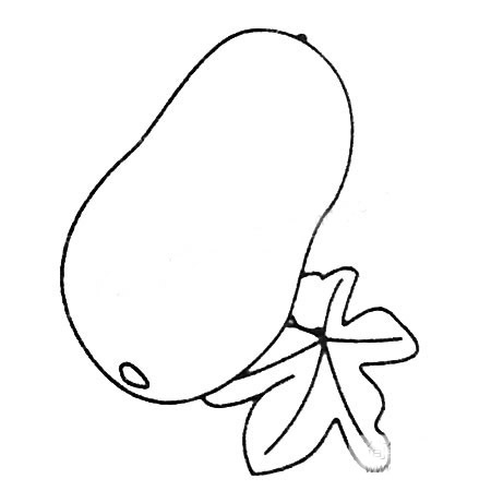 冬瓜简笔画图片大全