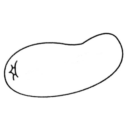 冬瓜简笔画教程