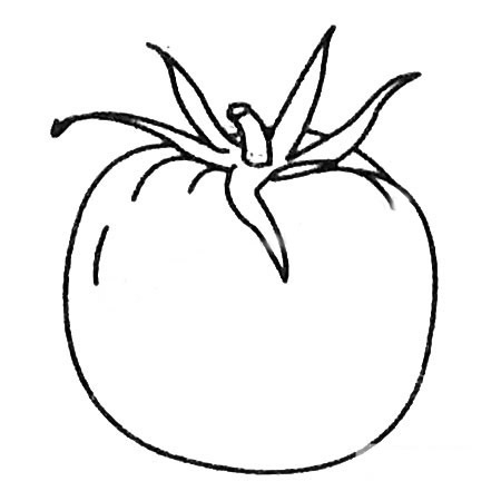 三步画出简单的番茄