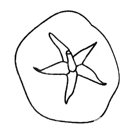 番茄简笔画图片大全(番茄简笔画图片大全大图 彩色)