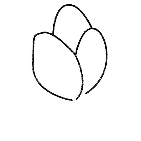 菠菜简笔画教程(菠菜简笔画教程)