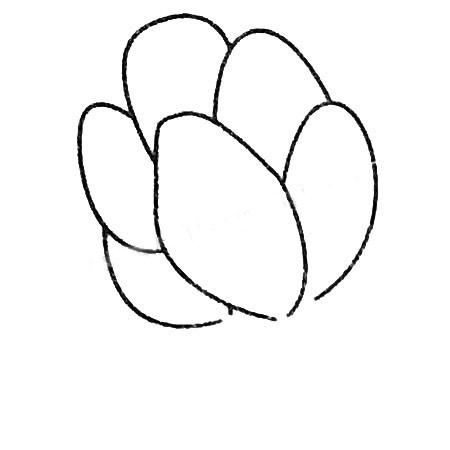 菠菜简笔画教程