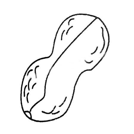 花生简笔画的画法