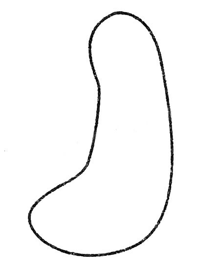 黄瓜简笔画的画法(黄瓜简笔画的画法图片)