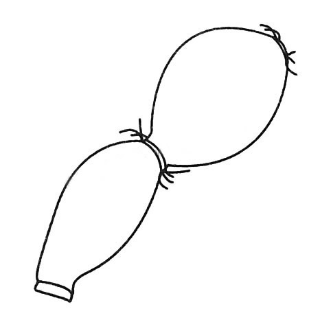 莲藕简笔画图片大全