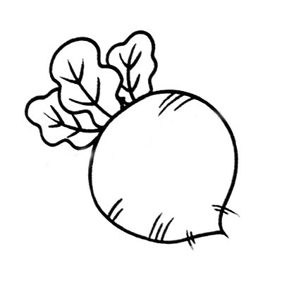 简单好看的萝卜简笔画