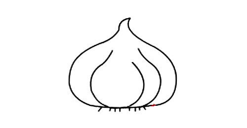 一组大蒜简笔画大全