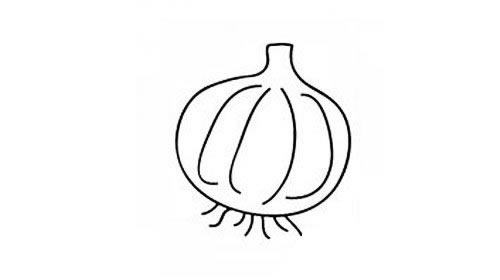 一组大蒜简笔画大全