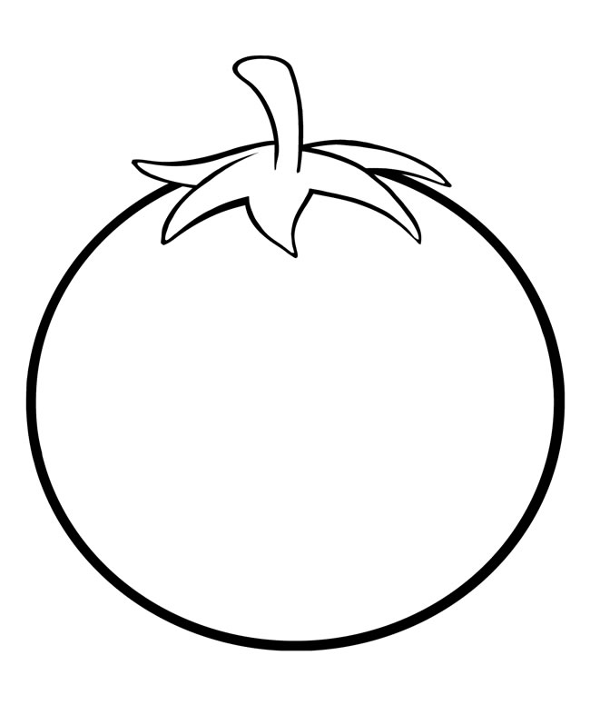 带叶子的西红柿简笔画(西红柿叶子素描)