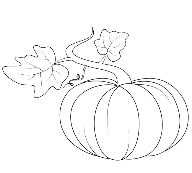 手绘南瓜简笔画
