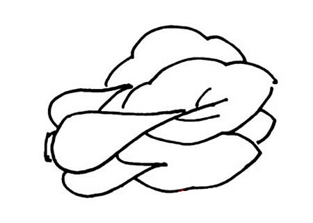 分享一组上海青简笔画(上海青简介)