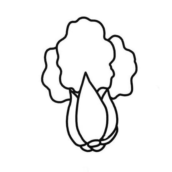 分享一组上海青简笔画