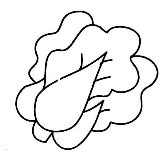 分享一组上海青简笔画