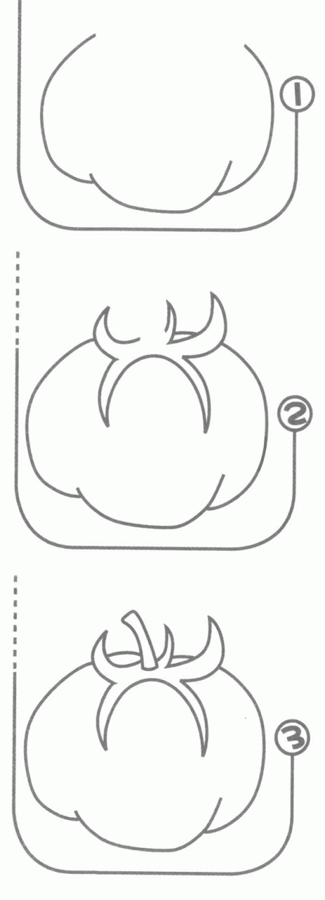 西红柿简笔画分解步骤