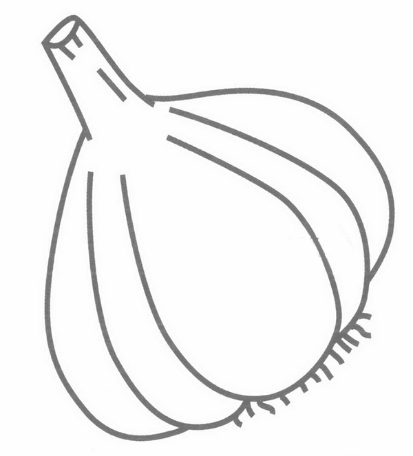 大蒜头笔画分解步骤(大蒜头的画法)