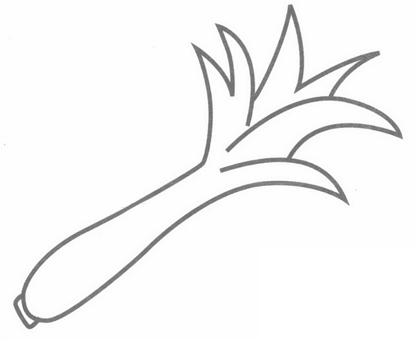 莴笋简笔画分解步骤(莴笋简图)