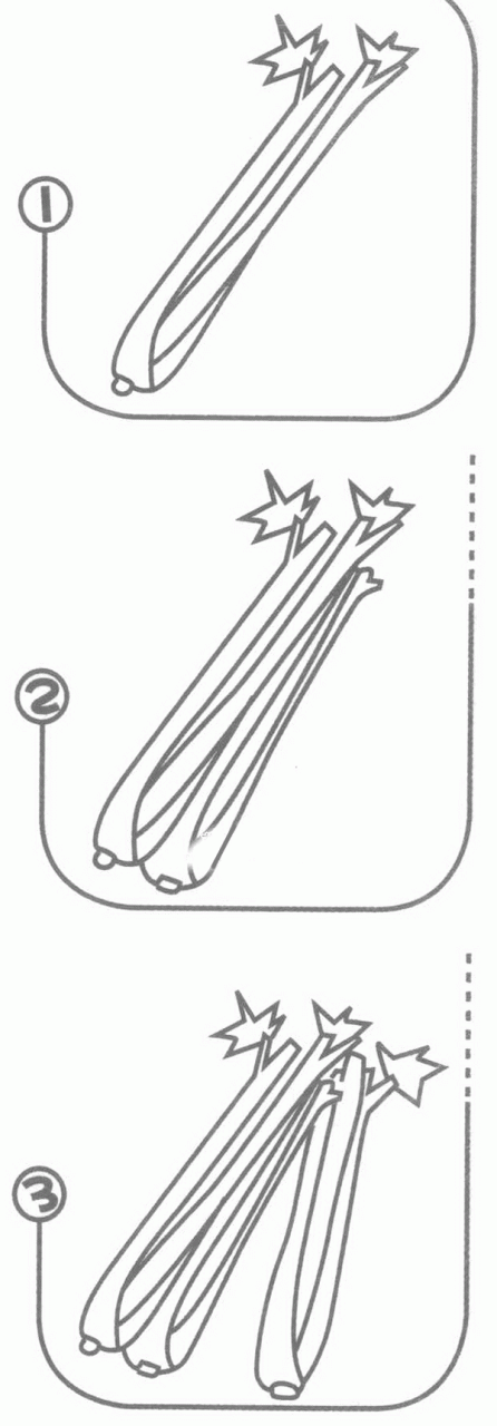 芹菜简笔画分解步骤