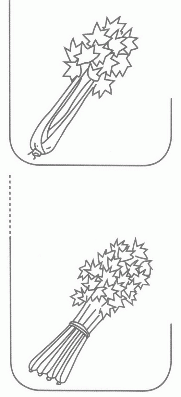 芹菜简笔画分解步骤