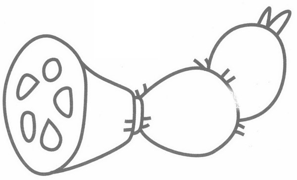 莲藕简笔画分解步骤(莲藕简笔画分解步骤图)