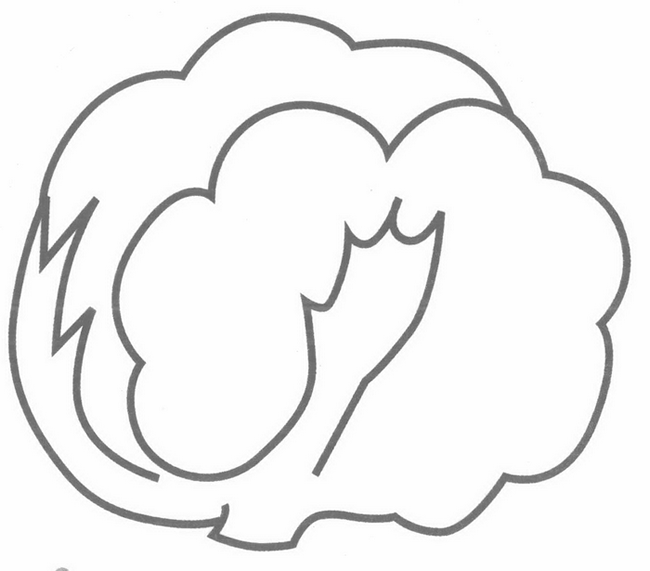 卷心菜简笔画分解步骤(卷心菜简画图)