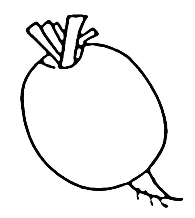 白萝卜简笔画(白萝卜简笔画简单又好看)
