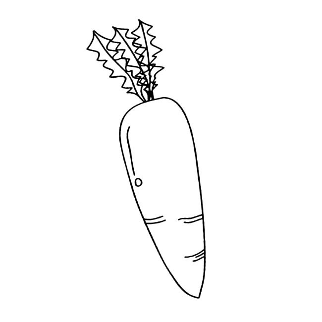 胡萝卜怎么画最简单(胡萝卜咋画?)