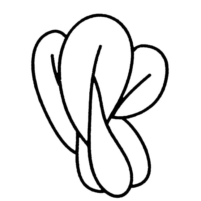 几笔就会的青菜简笔画(青菜的简易画法)