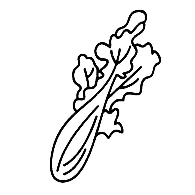 一棵青菜简笔画(一片青菜怎么画)