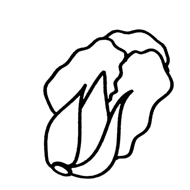 几笔就能画出大白菜(大白的笔画)