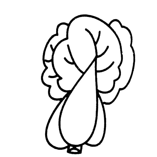 大白菜儿童简笔画(大白菜儿童简笔画图片)