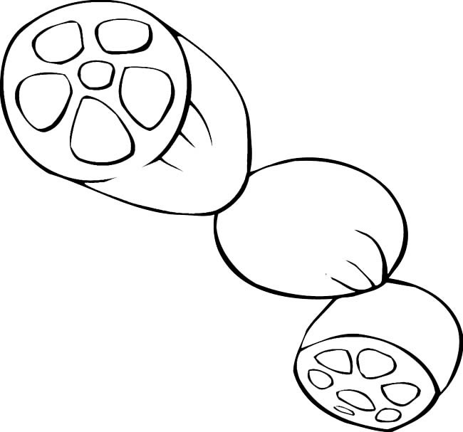 莲藕的简单画法(莲藕简笔画简单又好看)