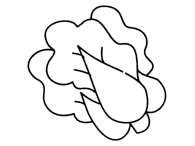 几笔就能画出大白菜(几笔就能画出大白鹅)