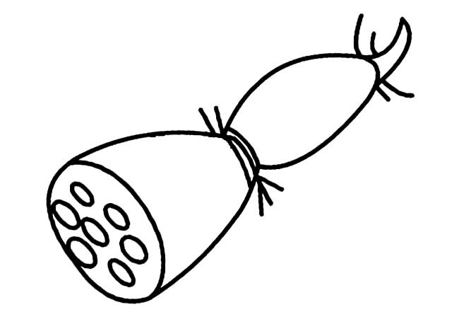 莲藕简笔画(莲藕简笔画怎么画)