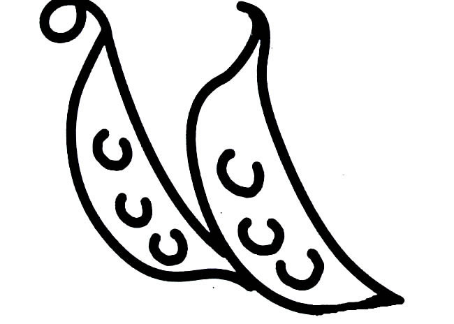 扁豆儿童简笔画(扁豆儿童简笔画怎么画)