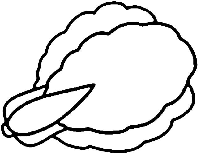 一看就会的大白菜简笔画(大白菜的几种做法大全)