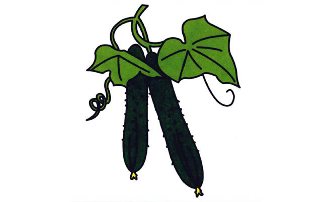 绿色的黄瓜简笔画