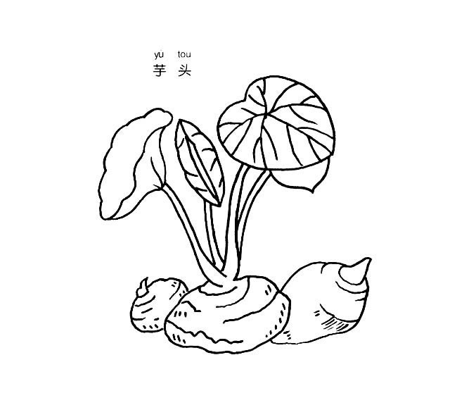 芋头简笔画(芋头简笔画简单又好看)