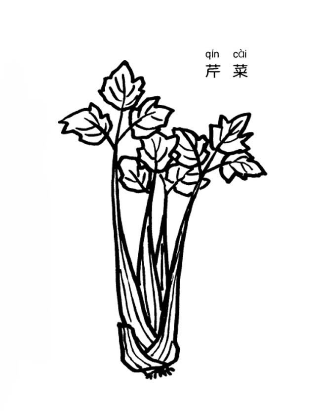 芹菜简笔画(芹菜简笔画简易)