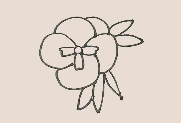 三色堇简笔画的画法