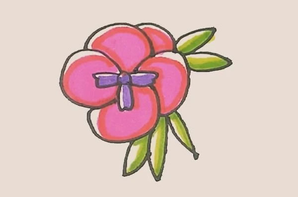 三色堇简笔画的画法